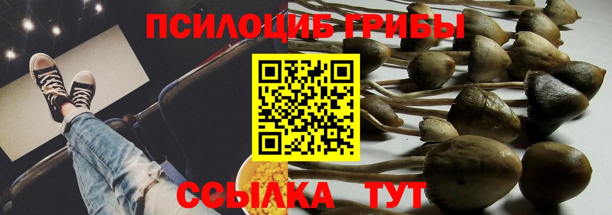Галлюциногенные грибы Cubensis  Вход с VPN  Озёрск  Псилоцибиновые грибы мухоморы 